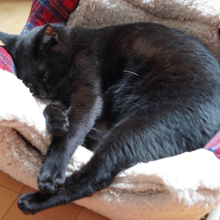 714b942e 7289 4d18 9025 299bfbad60e8 1593267396135