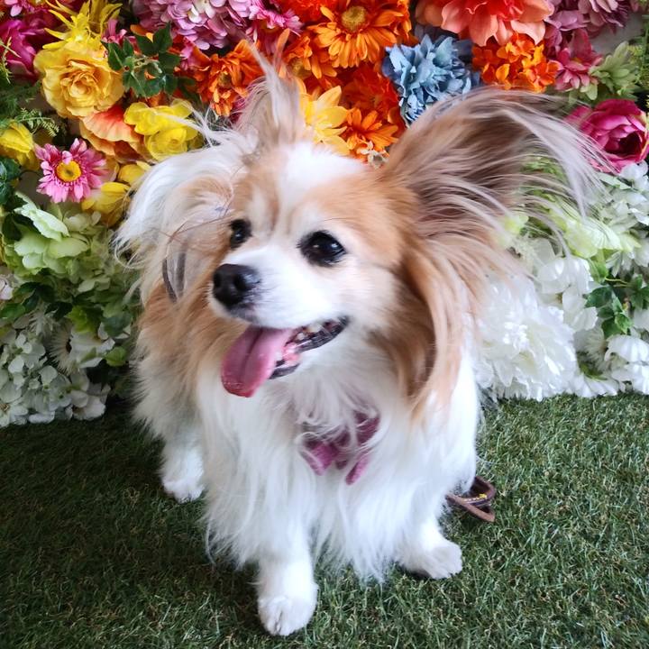 714bce78 5d6f 4e99 9f84 11c0afa3665e 1622584880116