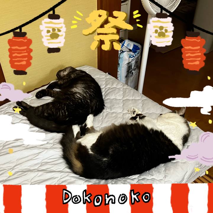 714c1792 2af0 4438 bfde 0da682e1b076 1723250285161