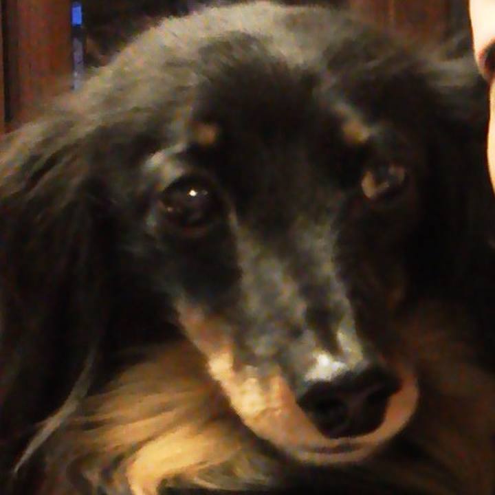 714c1f6e e4d2 4022 8c79 6c21d657c181 1521107183768