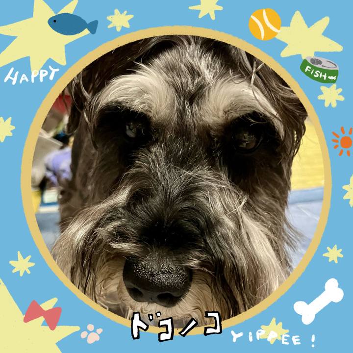 714c4f10 383b 4484 90d7 889e80f9d90c 1720997407116