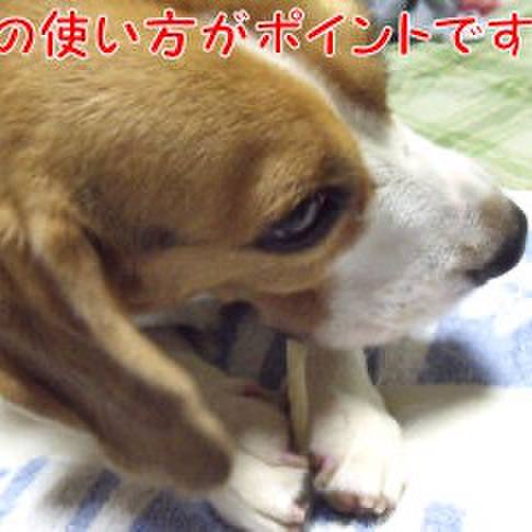 714c5994 4043 4cdf be2a b7fdfd288aa9 1724198265864