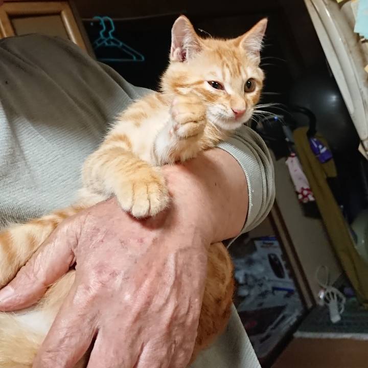 714c61b0 0bbc 4193 a64a 4c175e0acfd2 1632312584341