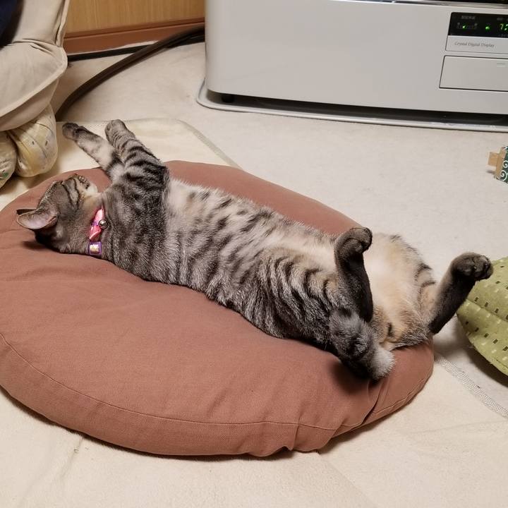 714c77ee 9acf 4f32 af1b 09bd8dbd32c1 1683469414202