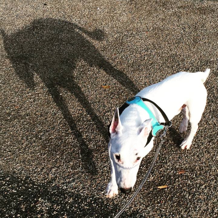 714c7ecd bf28 43de ae93 3903f86f42e1 1507901400375