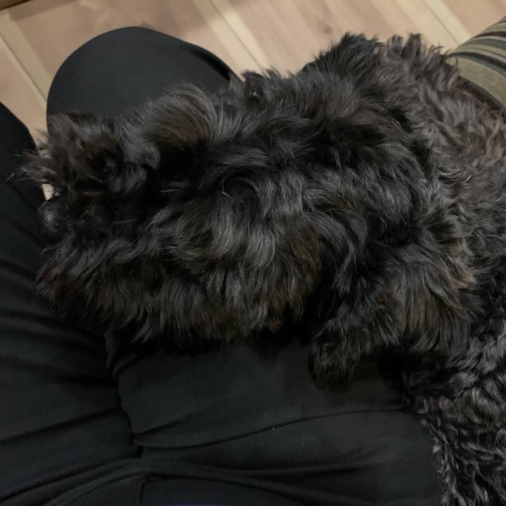 714ca007 1f36 466c 8707 2164e37b4cf1 1590744588715