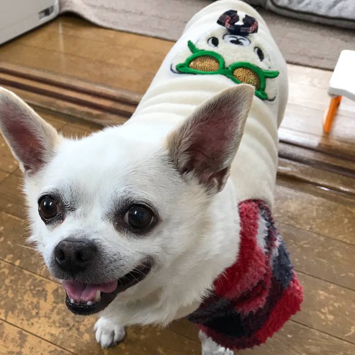 714cbc8a e368 448c b935 c2541dec36d9 1614748260579