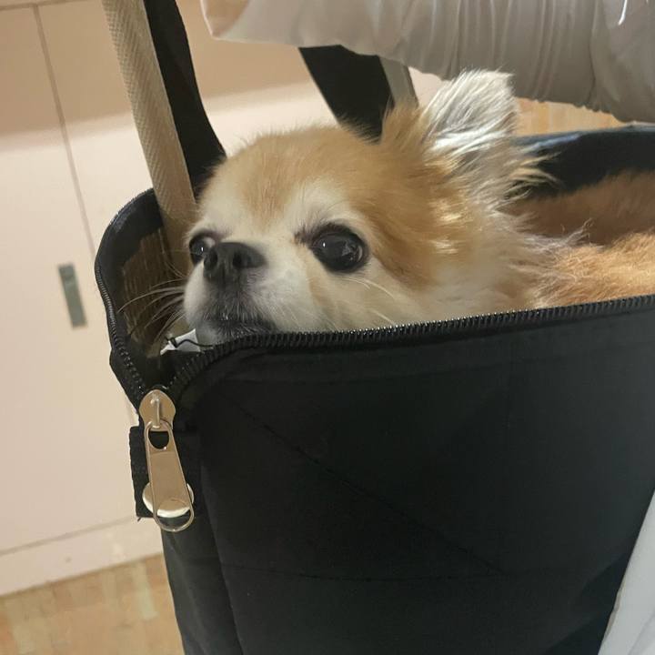 714cd2ed 088f 4dd2 924b b60479df222d 1754481148354