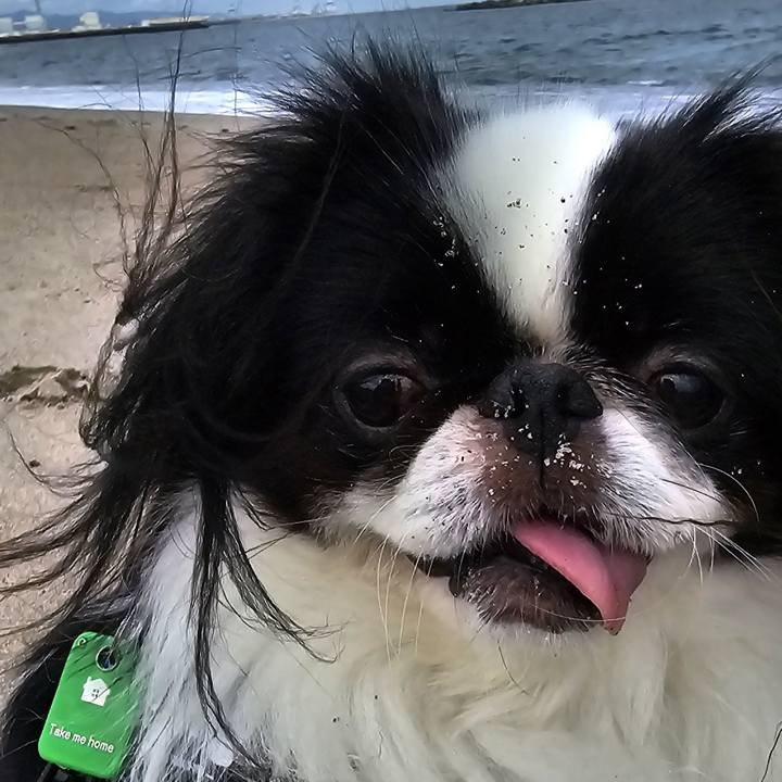 714cd531 c7d0 4aaa 8cbf 48dea77c9945 1729743780538