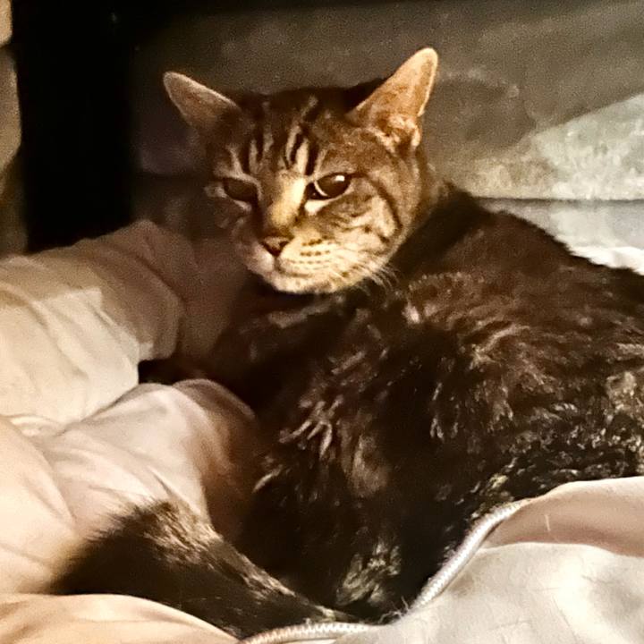 714cda18 b3fc 45d3 8f04 593585683d3c 1765800948823