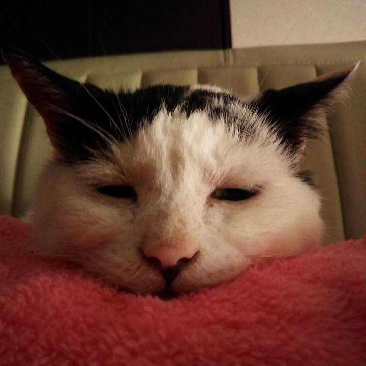 714d0c82 9da4 4d9c 8d7a 30922cfa5b04 1566134130434