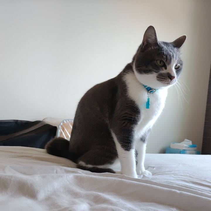 714d4139 ddcb 434b a480 c53e2558fa8e 1654312441250