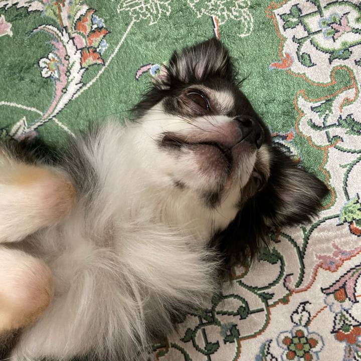 714d42ad 476b 4d23 ae4f 10b7c80f7b9c 1661611252951