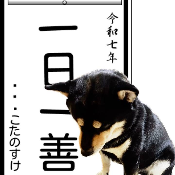 714d5a0a fe51 46ae acf4 618352e37961 1735953005958