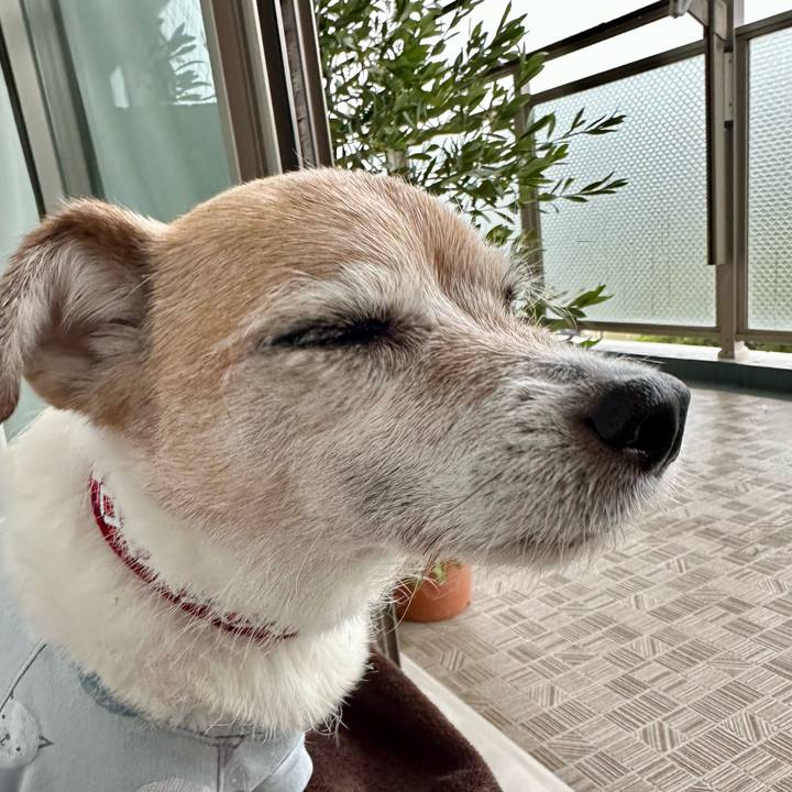 714d5ef6 05f8 41a8 a203 b8523b95fbe9 1683788104761