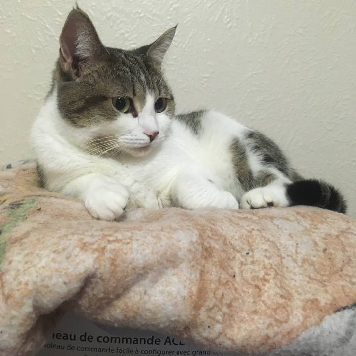 714d7190 b41e 4248 a5b4 f9c9b863cb01 1635551125303