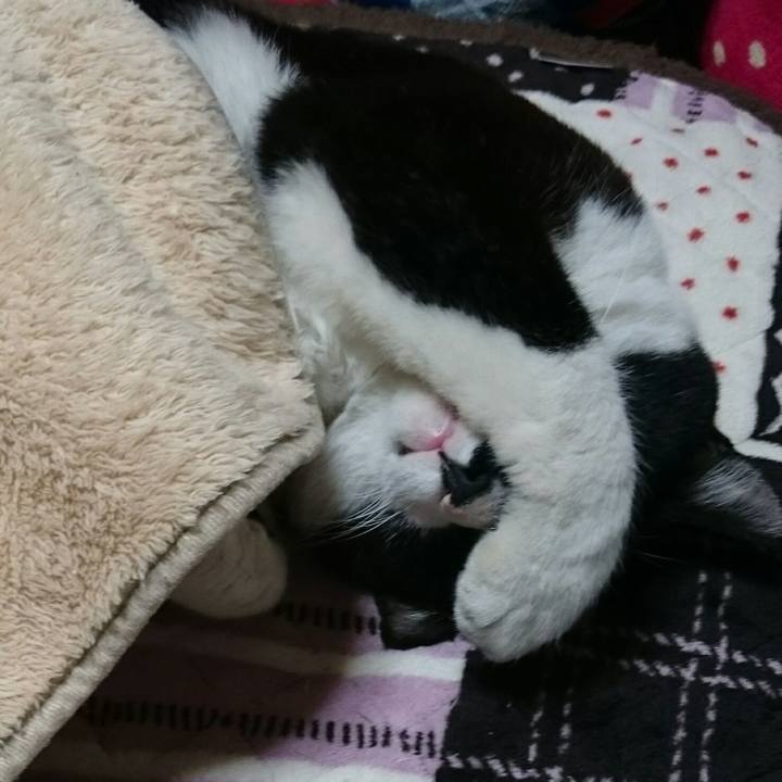 714d91da 3c34 4624 bff6 7f70ef99800d 1511014873461