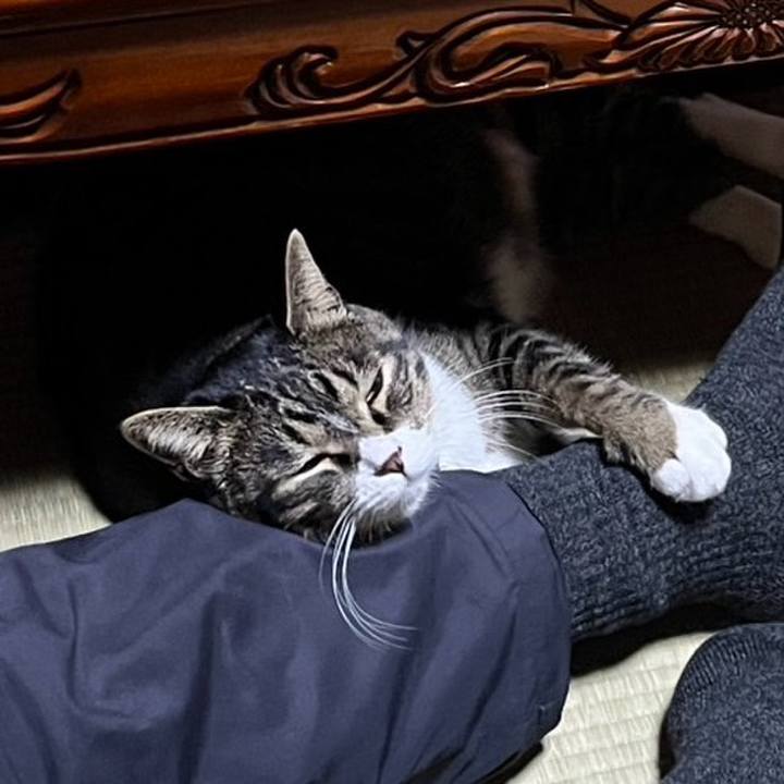 714d995a a3ff 4c25 ba66 6290818aaac7 1772147598186