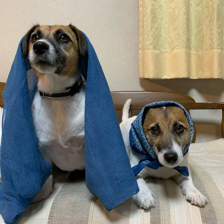 714dad73 1912 4e7f aa96 544a0d9139f8 1596885841969