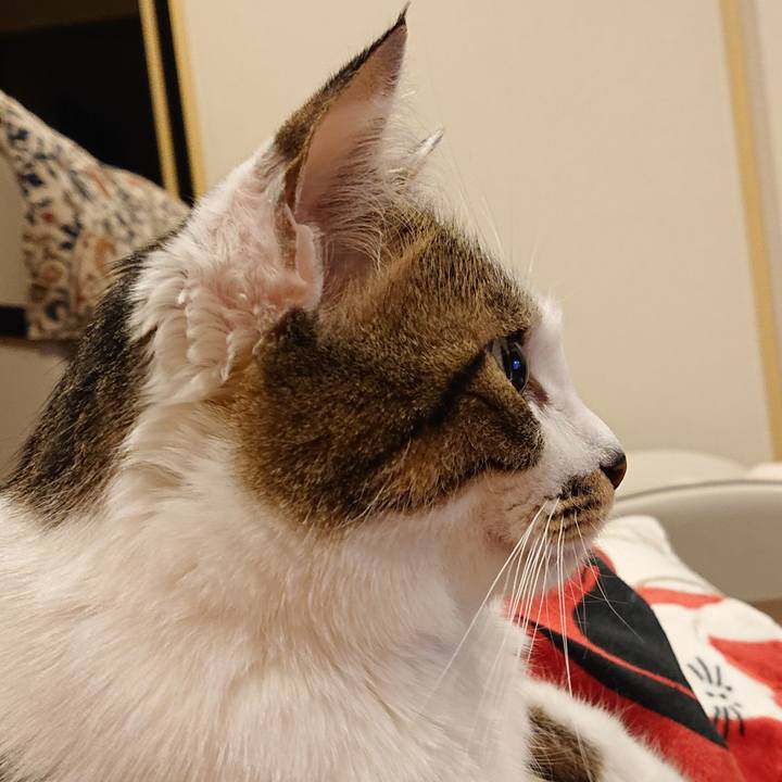 714dc0e1 14df 4f79 83c8 48bd478fb26e 1676548552182