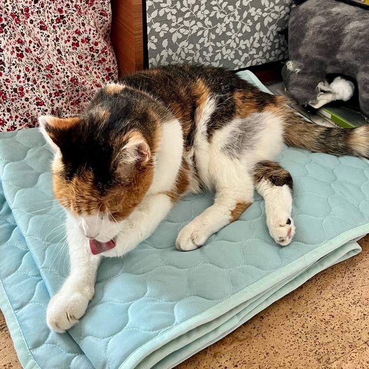 714df82b 9743 412c b7e0 17b65dddbe17 1691901507836