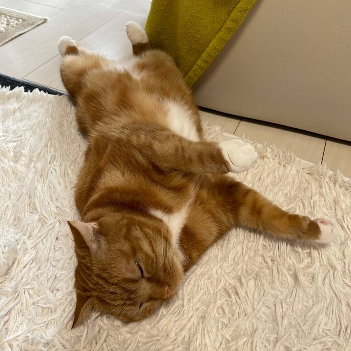 714e3f46 f8ae 4a1c ba48 ed76801d8a00 1643516460906