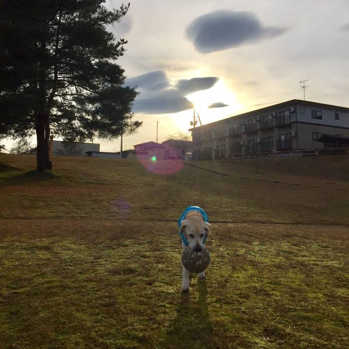 714e5ed0 5e5d 4d77 8d46 44db113c551b 1558608986790