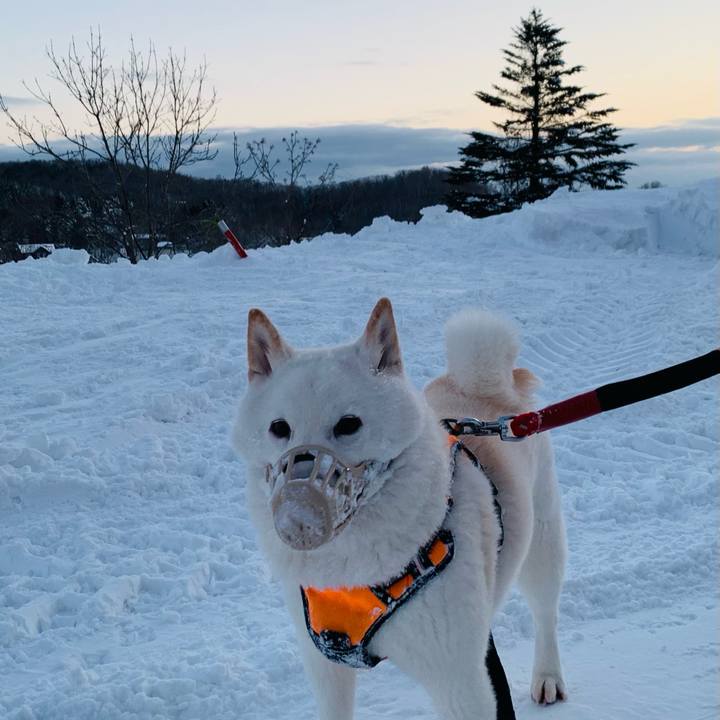 714e7a73 ae4e 4d37 8fb1 25bee12aafdd 1673390465562