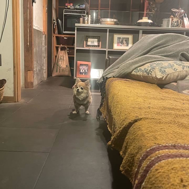 714e9b7a 27e4 460c a296 1a0fdc6ee61f 1767482421043