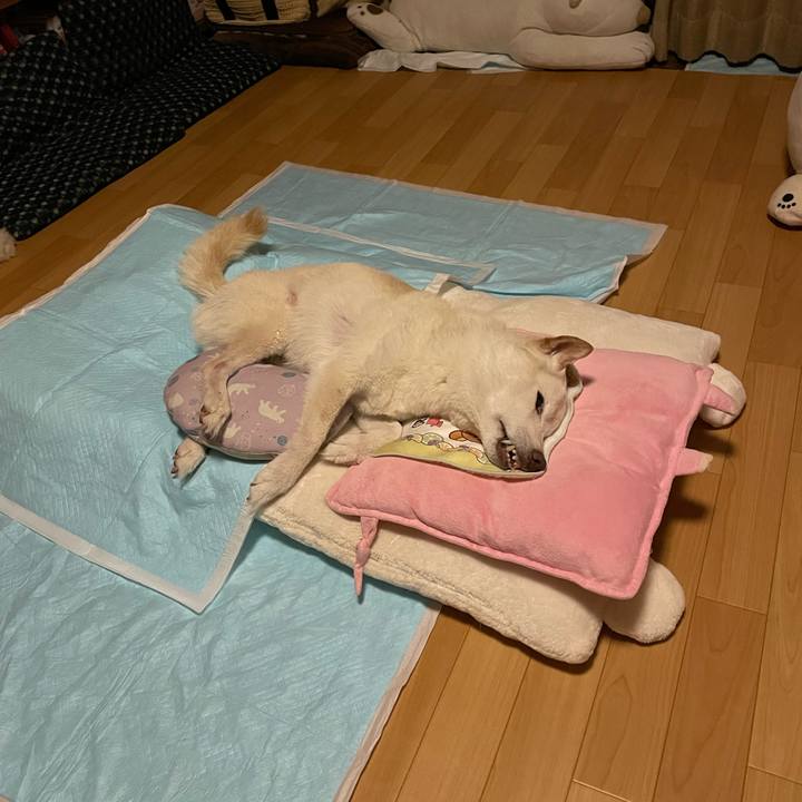 714eae81 07bb 4f27 a6cc a2f62f5d2ef4 1665581704168