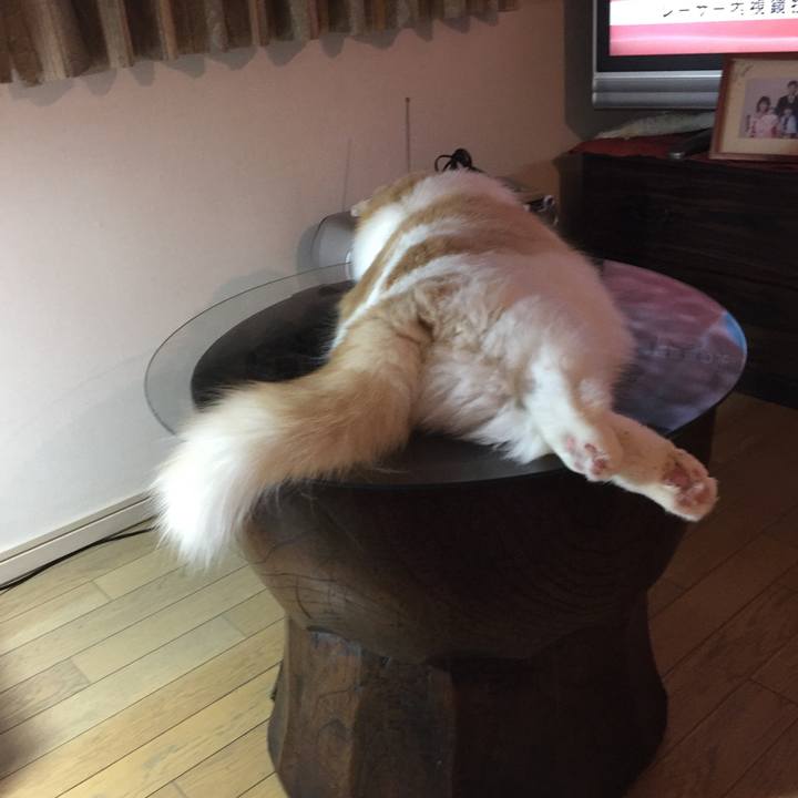 714ec09f 1471 48f5 9f05 944b46358a3f 1520079251782