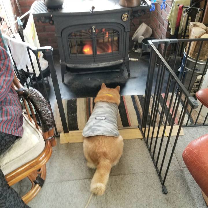 714ed42e 9db9 4ba6 bacf 4cbbfe61adfb 1676680422643