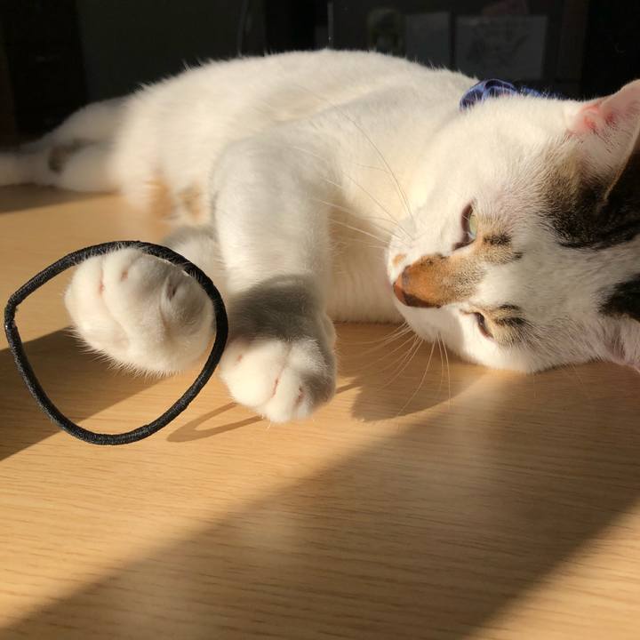 714eddf9 efee 40e1 ae6e e4e01243a33f 1515764879000