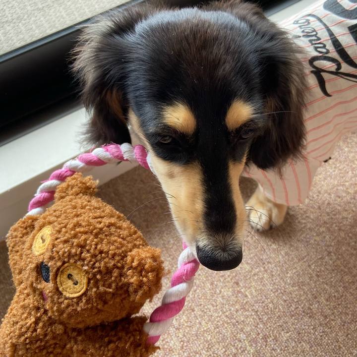 714ef718 fccc 4b3f 9048 787f5f586329 1682909610203