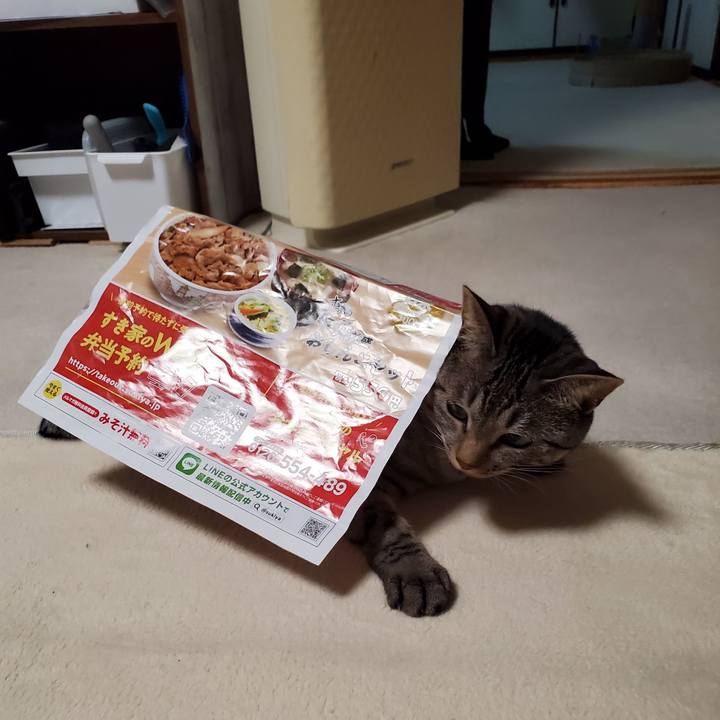 714eff4c f27c 42b9 9ad4 6ab2a096f913 1696565105995