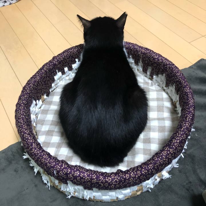 714f0f26 dd77 41fe be21 8af8307bbc8d 1590822756149