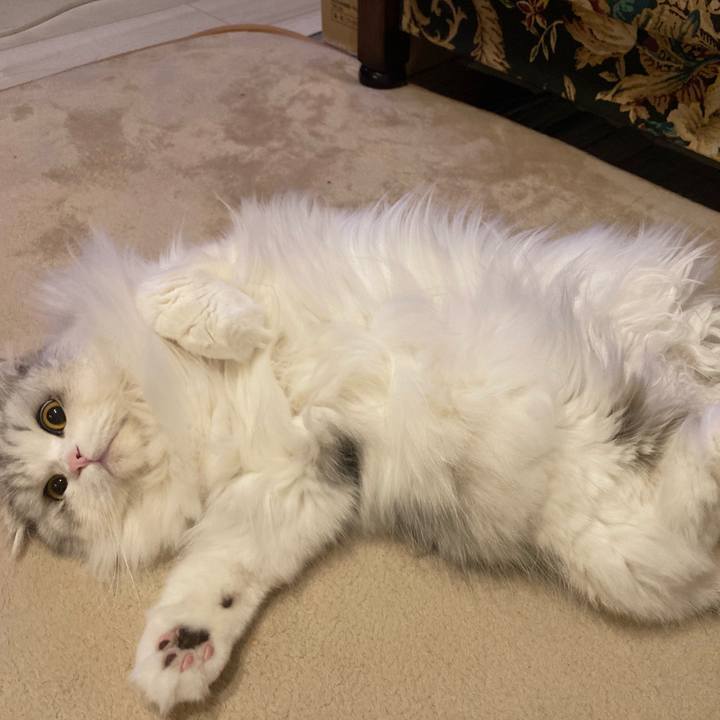 714f2856 d280 4482 8afb 4d4709720462 1637668403878