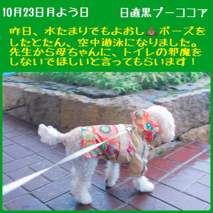 714f8ad9 65f5 4260 a99b ae818d65e1c9 1508734569610