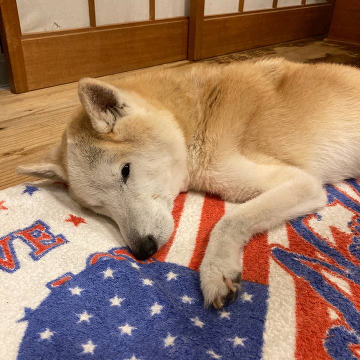 714fa49a c08f 4ab8 9054 9095786e87c8 1600006345249