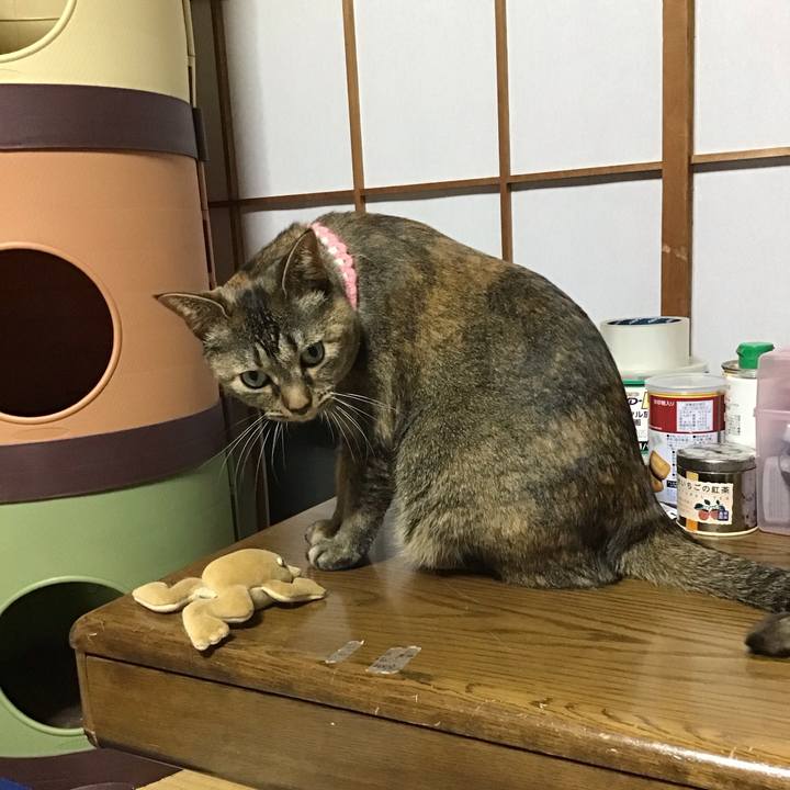 714fa9ea 36e5 4c32 8608 578a26b0ba8a 1744980995161