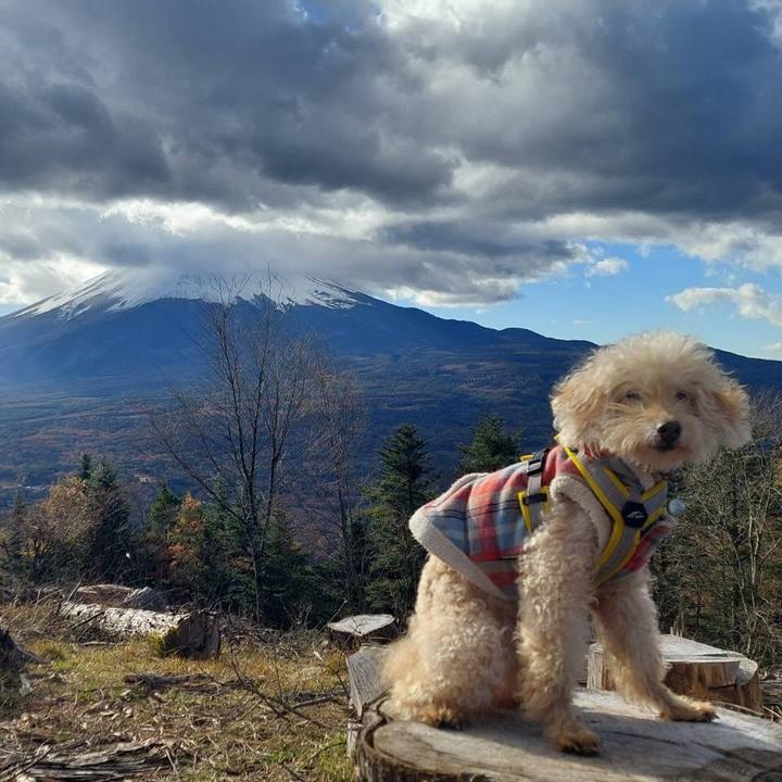 714fc3a9 a624 4f80 afab 3e65ee651be2 1700357475230