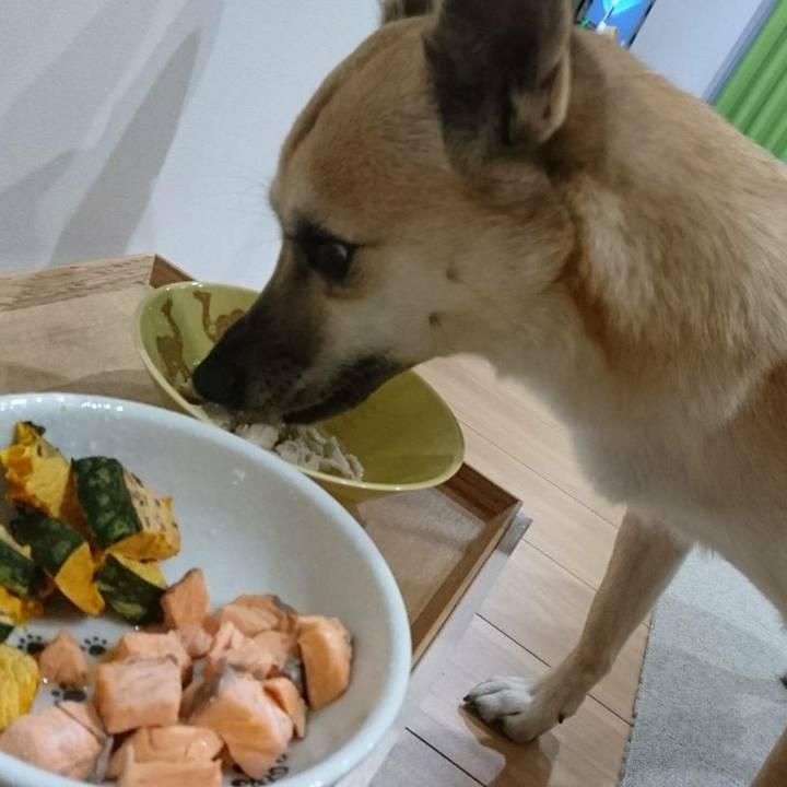 714feadc 45ca 4c4e 9f20 edec431b59d8 1516680987268