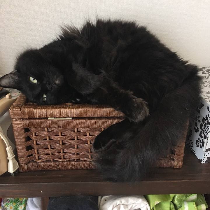 71501051 cf09 4dce 93be 856feb3c3fd4 1563341111407