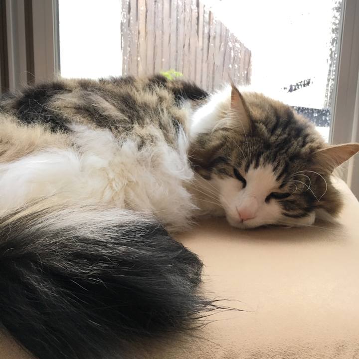 71501bea f1ce 4699 bc77 b9ba43430680 1524614786814