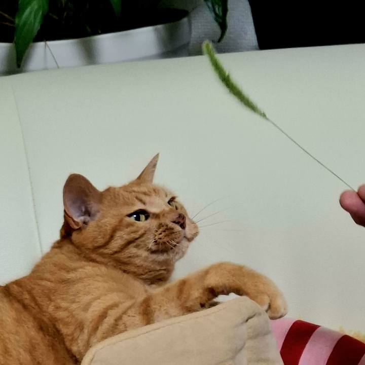 715036fa ce8c 40f1 bc21 08bad174b744 1751244217305