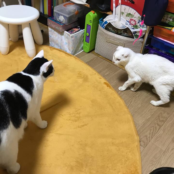 71506ba4 7f1c 49d0 a15b 9610fa7b4298 1539864730873