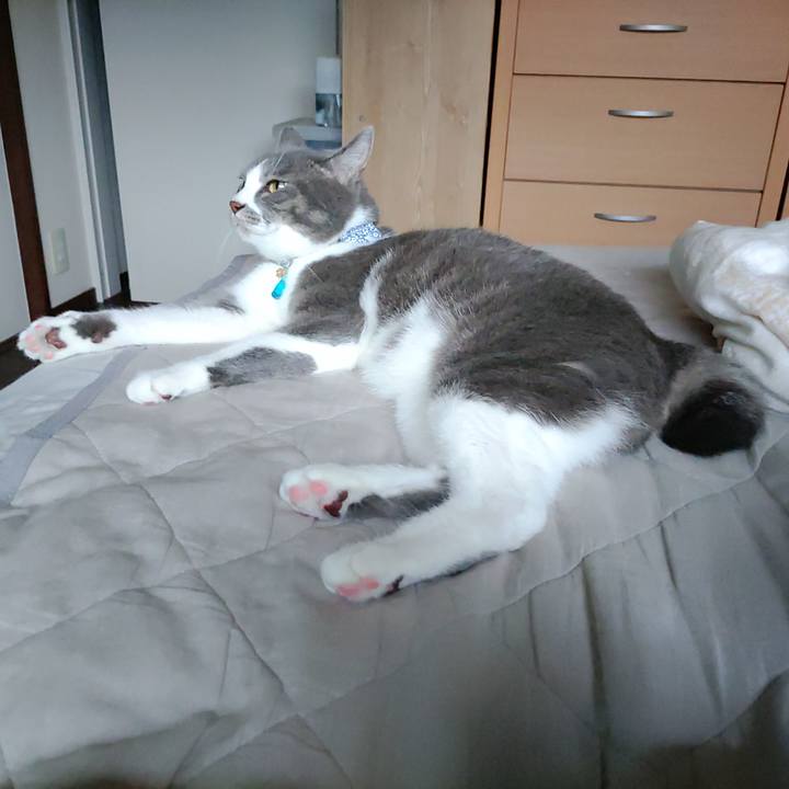 7150a1c8 66f3 4d78 9d1b 8b18ec6ed16a 1724287218943