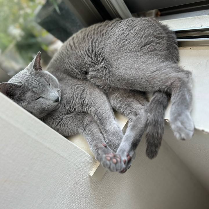 7150c107 cbf1 4e1e ad49 78b811a1f860 1752971655880