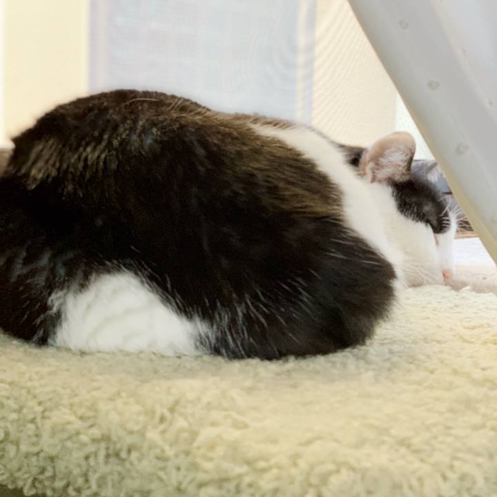 7150d111 6cde 4595 a569 86c8e01b838b 1540781973040