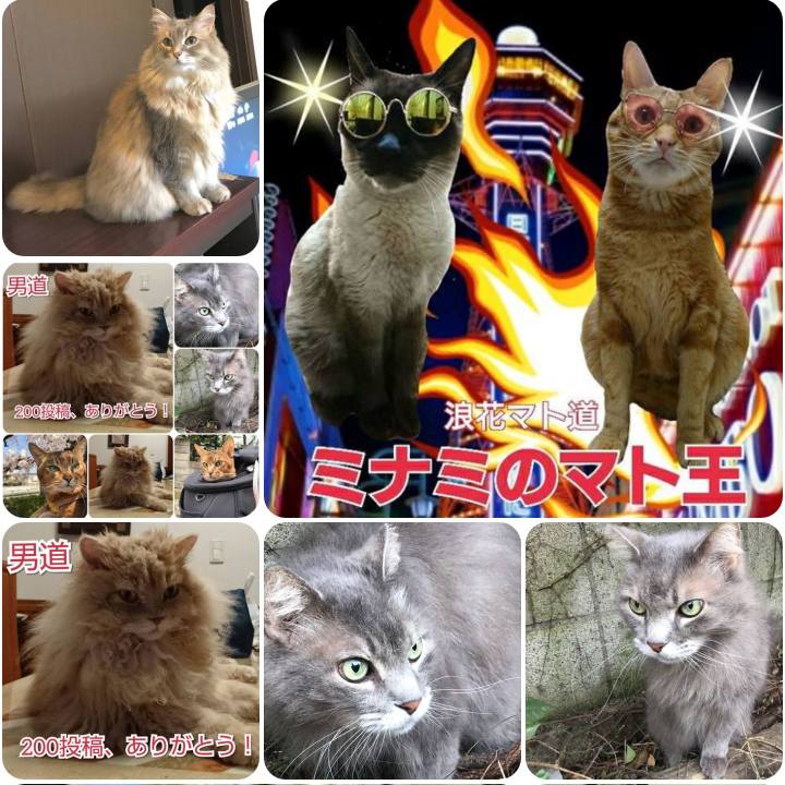 7150db26 389c 4c43 a3f8 d3fa48295bec 1555318750034